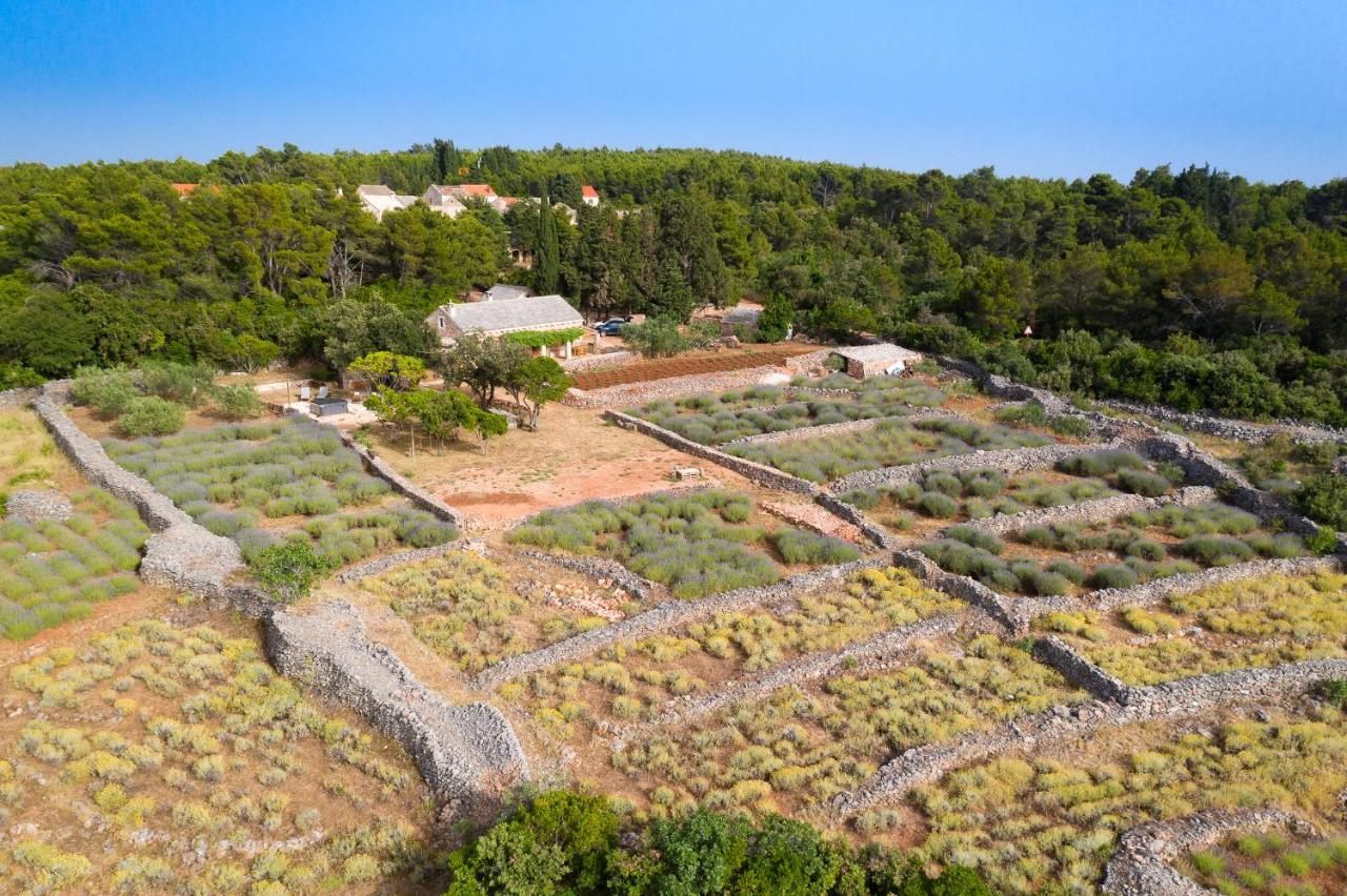 Villa Humac Hvar Poljica  المظهر الخارجي الصورة
